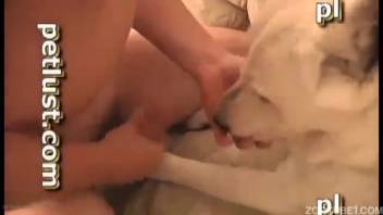 Gorgeous white canine is giving a blowjob to an aroused man's massive cock