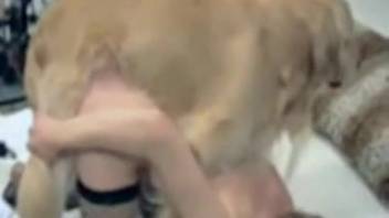 Sexy woman in fishnets has wild intercourse with her perverted dog on webcam