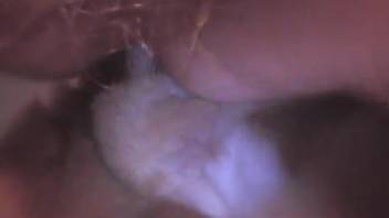 Furry testes guy being anally penetrated by a canine
