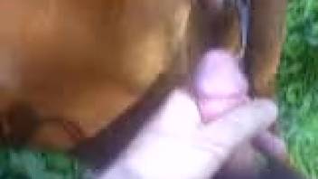 Aroused dude masturbates and penetrates the beast anally