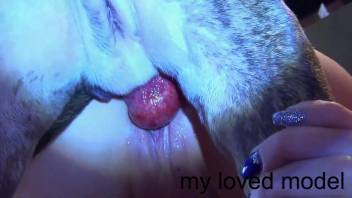 Steamy animal lover penetrated deeply by an ebony pup in this spot