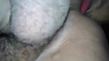 Excited homosexual male penetrated anally by a beast in intense encounters
