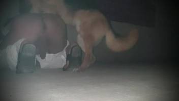 Bestiality anal clip featuring a cute-looking pup