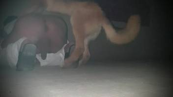 Bold stud relishing intense anal action with a canine