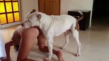 Voluptuous lady senses the complete canine shaft thrusting into her from the rear