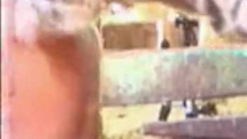 Aroused guy experiments with anal intercourse involving beasts