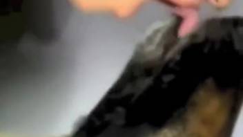 Dog licks its owner and arouses her to an incredible level of horniness